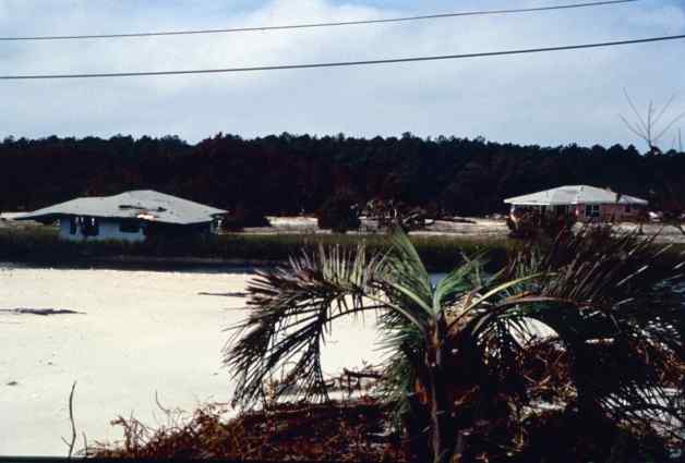 Pawleys Island (Wes Tyler)